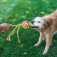 KONG - Dragon Knots - With Knotted Ropes and Little Filling - Medium/Large (Colour Varies) KONG - Dragon Knots - With Knotted Ropes and Little Filling - Medium/Large (Colour Varies)