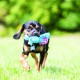 KONG Cozies Squeaky Dog Toy