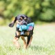 KONG Cozies Squeaky Dog Toy