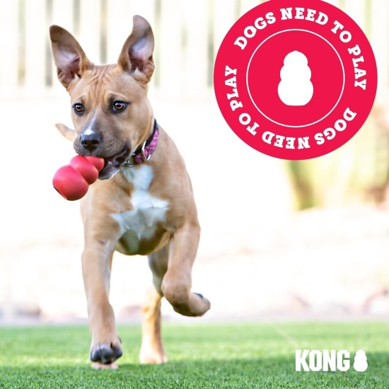 KONG Cozies Squeaky Dog Toy KONG Cozies Squeaky Dog Toy