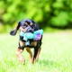KONG Cozies Squeaky Dog Toy KONG Cozies Squeaky Dog Toy
