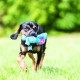 KONG Cozies Squeaky Dog Toy KONG Cozies Squeaky Dog Toy