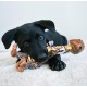 KONG Shakers Luvs Giraffe Large - Extra Long Squeaky Dog Toy for Large Dogs - Soft Tug & Throw Toy with Plush Toy Design for Interactive Fun KONG Shakers Luvs Giraffe Large - Extra Long Squeaky Dog Toy for Large Dogs - Soft Tug & Throw Toy with Plush Toy Design for Interactive Fun