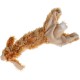 Karlie 521347 Flatino Plush Rabbit Karlie 521347 Flatino Plush Rabbit