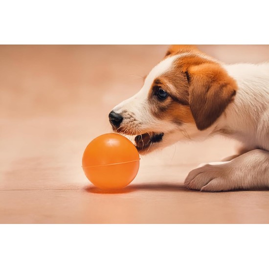 Karlie Ball Dog Toy Rubber Orange Diameter 4 cm Karlie Ball Dog Toy Rubber Orange Diameter 4 cm