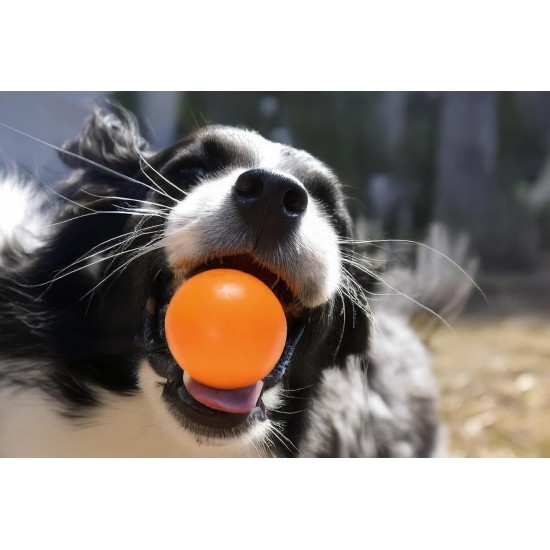 Karlie Ball Dog Toy Rubber Orange Diameter 4 cm Karlie Ball Dog Toy Rubber Orange Diameter 4 cm