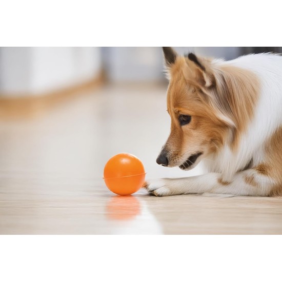 Karlie Ball Dog Toy Rubber Orange Diameter 4 cm Karlie Ball Dog Toy Rubber Orange Diameter 4 cm