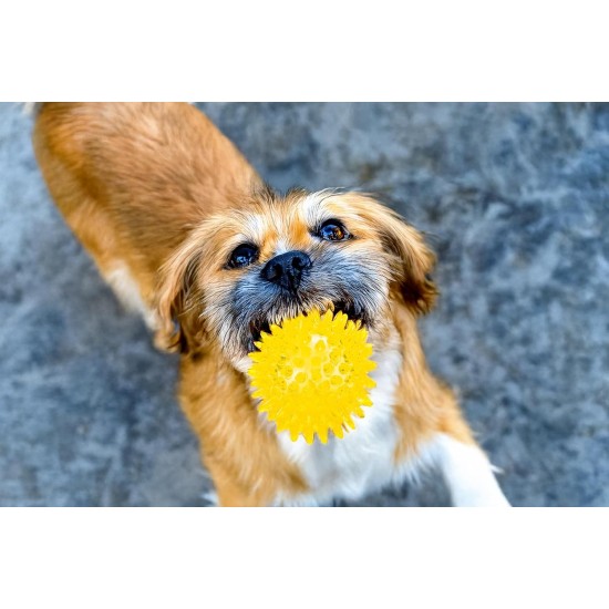 Karlie Ball with Rope - Dog Toy - TPR / Cotton - Yellow - 16 x 7 x 7 Karlie Ball with Rope - Dog Toy - TPR / Cotton - Yellow - 16 x 7 x 7
