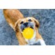 Karlie Ball with Rope - Dog Toy - TPR / Cotton - Yellow - 16 x 7 x 7 Karlie Ball with Rope - Dog Toy - TPR / Cotton - Yellow - 16 x 7 x 7