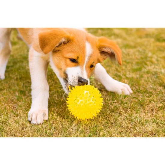 Karlie Ball with Rope - Dog Toy - TPR / Cotton - Yellow - 16 x 7 x 7 Karlie Ball with Rope - Dog Toy - TPR / Cotton - Yellow - 16 x 7 x 7