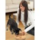 Karlie Doggy Brain Train, 2-in-1 Intelligence Toy for Dogs, 32 cm Karlie Doggy Brain Train, 2-in-1 Intelligence Toy for Dogs, 32 cm