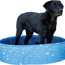 Kerbl Bubble Dog Pool (Diameter 80 cm, Height 20 cm, Capacity 100 L, Blue Colour, Foldable Paddling Pool, MDF Side Walls, for Small Dogs) 80738 Kerbl Bubble Dog Pool (Diameter 80 cm, Height 20 cm, Capacity 100 L, Blue Colour, Foldable Paddling Pool, MDF Side Walls, for Small Dogs) 80738