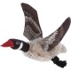 Kerbl Pet Dog Toy Cockerel Karl, 24 cm