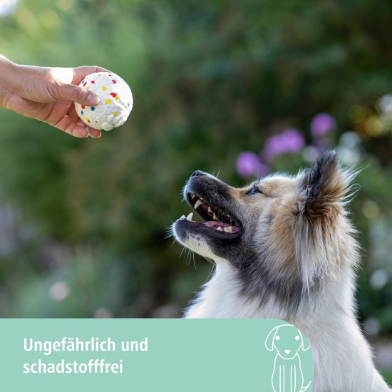 Kerbl Pet Pet Throwing and Fetch Toy for Dogs, Ball, Made of E-TPU, Floatable, Extremely Reboundable/Elastic, Non-Toxic & Gum Friendly Kerbl Pet Pet Throwing and Fetch Toy for Dogs, Ball, Made of E-TPU, Floatable, Extremely Reboundable/Elastic, Non-Toxic & Gum Friendly