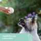 Kerbl Pet Pet Throwing and Fetch Toy for Dogs, Ball, Made of E-TPU, Floatable, Extremely Reboundable/Elastic, Non-Toxic & Gum Friendly