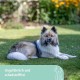 Kerbl Pet Pet Throwing and Fetch Toy for Dogs, Ball, Made of E-TPU, Floatable, Extremely Reboundable/Elastic, Non-Toxic & Gum Friendly