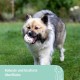 Kerbl Pet Pet Throwing and Fetch Toy for Dogs, Ball, Made of E-TPU, Floatable, Extremely Reboundable/Elastic, Non-Toxic & Gum Friendly