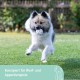 Kerbl Pet Pet Throwing and Fetch Toy for Dogs, Ball, Made of E-TPU, Floatable, Extremely Reboundable/Elastic, Non-Toxic & Gum Friendly