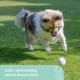 Kerbl Pet Pet Throwing and Fetch Toy for Dogs, Ball, Made of E-TPU, Floatable, Extremely Reboundable/Elastic, Non-Toxic & Gum Friendly