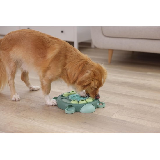 Kerbl Pet Thinking and Learning Toy Turtle Turquoise Diameter 25 cm Kerbl Pet Thinking and Learning Toy Turtle Turquoise Diameter 25 cm