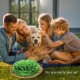 Kolamom Tapis Renifleur Pour Chien Jouet Intelligent Pour Chien Avec Antidérapant Jouet d'Intelligence Pour Chien Tapis Renifleur Anti-Stress Tapis de jeu Pour Petits et Grands Chiens 48 x 48 cm Kolamom Tapis Renifleur Pour Chien Jouet Intelligent Pour Chien Avec Antidérapant Jouet d'Intelligence Pour Chien Tapis Renifleur Anti-Stress Tapis de jeu Pour Petits et Grands Chiens 48 x 48 cm