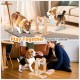 LOOBANI Dog Food Puzzle Toy for IQ Training and Mental Enrichment, Interactive, Fun Entertainment, Pass Time Games for Pets, Adjustable Treat Dispenser by Rotating Bottle LOOBANI Dog Food Puzzle Toy for IQ Training and Mental Enrichment, Interactive, Fun Entertainment, Pass Time Games for Pets, Adjustable Treat Dispenser by Rotating Bottle