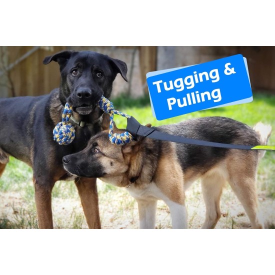 LOOBANI Dog Toys Outdoor Hanging Interactive Tether Durable Tug of War Puller with Chew Rope Toy LOOBANI Dog Toys Outdoor Hanging Interactive Tether Durable Tug of War Puller with Chew Rope Toy