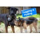 LOOBANI Dog Toys Outdoor Hanging Interactive Tether Durable Tug of War Puller with Chew Rope Toy LOOBANI Dog Toys Outdoor Hanging Interactive Tether Durable Tug of War Puller with Chew Rope Toy