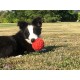 Lanco 8424678004092 Small Ball 100% Natural Rubber Lanco 8424678004092 Small Ball 100% Natural Rubber