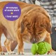 Large Treat Gnome, Treat Dispenser Dog Game for Large Dogs, Interactive Dog Game for Boredom, Stimulating Brain Game, Dog Gifts, Dog Game for Birthday Large Treat Gnome, Treat Dispenser Dog Game for Large Dogs, Interactive Dog Game for Boredom, Stimulating Brain Game, Dog Gifts, Dog Game for Birthday