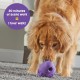 Large Treat Gnome, Treat Dispenser Dog Game for Large Dogs, Interactive Dog Game for Boredom, Stimulating Brain Game, Dog Gifts, Dog Game for Birthday Large Treat Gnome, Treat Dispenser Dog Game for Large Dogs, Interactive Dog Game for Boredom, Stimulating Brain Game, Dog Gifts, Dog Game for Birthday