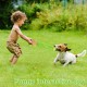 Letsmeet Squeaky Dog Toy, Stress Relief Game for Boredom, Dog Puzzle Toy, IQ Training, Dog Sniffing Toy, Foraging Instinct Training, Suitable for Small, Medium and Large Letsmeet Squeaky Dog Toy, Stress Relief Game for Boredom, Dog Puzzle Toy, IQ Training, Dog Sniffing Toy, Foraging Instinct Training, Suitable for Small, Medium and Large