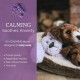 Lying Bear Soft Flavoured Toy for Dogs, Turquoise, 35 cm Lying Bear Soft Flavoured Toy for Dogs, Turquoise, 35 cm
