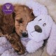 Lying Bear Soft Flavoured Toy for Dogs, Turquoise, 35 cm Lying Bear Soft Flavoured Toy for Dogs, Turquoise, 35 cm