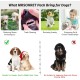 MRSOHRET Puppy Teething Chew Toy Dog Chew Toy with Rope Toy, Pet Toothbrush Treat Balls, Plush Toys and Squeaky Toys for Small Medium Dogs MRSOHRET Puppy Teething Chew Toy Dog Chew Toy with Rope Toy, Pet Toothbrush Treat Balls, Plush Toys and Squeaky Toys for Small Medium Dogs