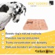 Midi/0L9 Intelligence Toy Dog 'Sudoku 9 – L Midi/0L9 Intelligence Toy Dog 'Sudoku 9 – L