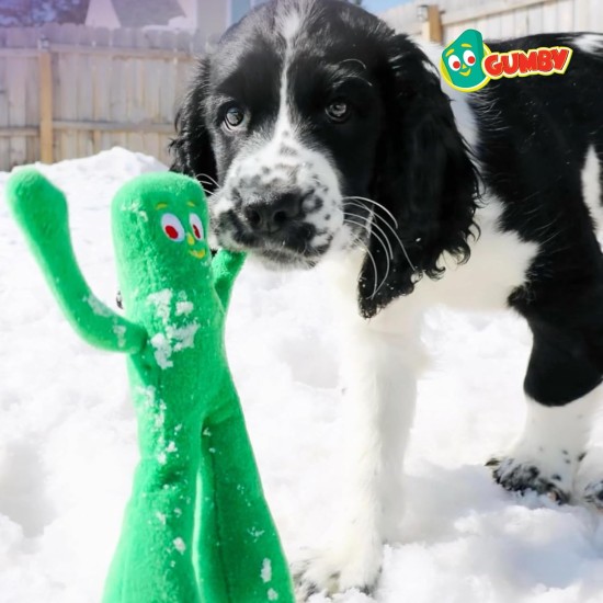 Multipet Gumby Dog Toy - Squeaky Dog Toy for All Dogs - Extra Soft Plush Dog Toy with Flexible Legs and Arms - Stuffed Toy Dog Toy for Cuddling & Playing - Multipet Gumby Dog Toy - Squeaky Dog Toy for All Dogs - Extra Soft Plush Dog Toy with Flexible Legs and Arms - Stuffed Toy Dog Toy for Cuddling & Playing -