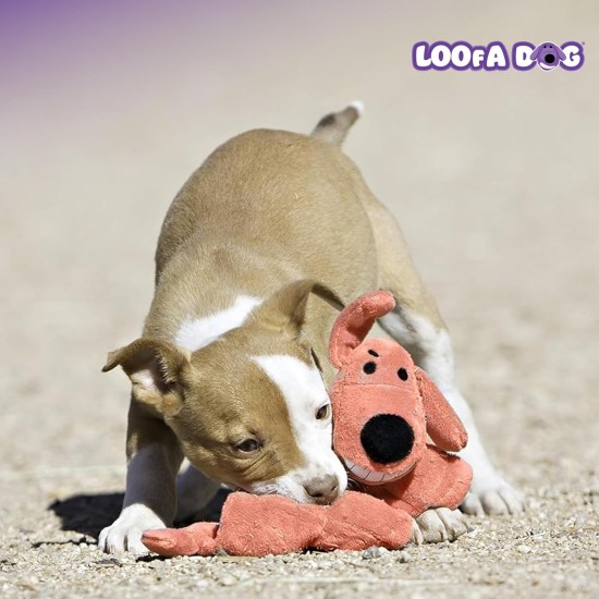 Multipet International Loofa Dog Toy 12 Pouces - 47712 Multipet International Loofa Dog Toy 12 Pouces - 47712