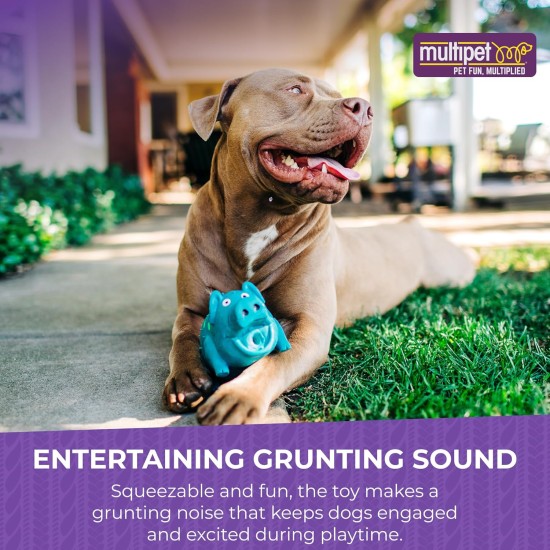 Multipet Pigs that Oink Stuffed Latex Squeezed Fun Interactive Pet Dog Toy 9 " Multipet Pigs that Oink Stuffed Latex Squeezed Fun Interactive Pet Dog Toy 9 "