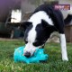 Multipet Pigs that Oink Stuffed Latex Squeezed Fun Interactive Pet Dog Toy 9 " Multipet Pigs that Oink Stuffed Latex Squeezed Fun Interactive Pet Dog Toy 9 "