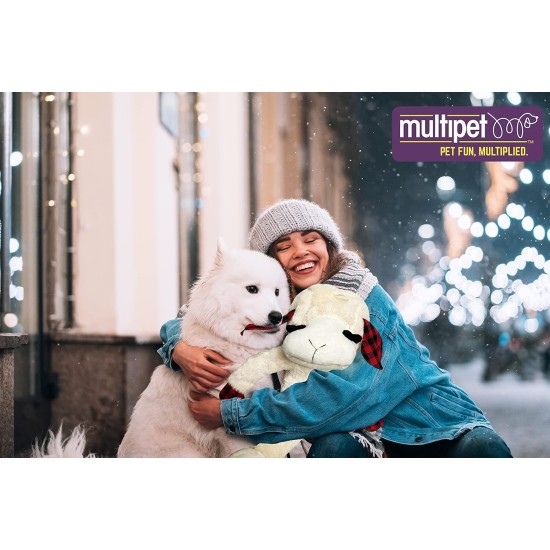 Multipet Plush Dog Toy Multipet Plush Dog Toy