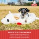 Multipet Plush Dog Toy Multipet Plush Dog Toy