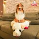 Multipet Plush Dog Toy Multipet Plush Dog Toy