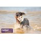 Multipet Plush Dog Toy Multipet Plush Dog Toy