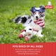 Multipet Plush Dog Toy Multipet Plush Dog Toy