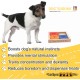 My Intelligent Pets Dog' Sudoku Medium Basic Color Interaktives Hunde- und Katzenspielzeug aus Holz Hundespielzeug für Hunde Hundespielzeug kleine und große Hunde Hunde Spielzeug My Intelligent Pets Dog' Sudoku Medium Basic Color Interaktives Hunde- und Katzenspielzeug aus Holz Hundespielzeug für Hunde Hundespielzeug kleine und große Hunde Hunde Spielzeug