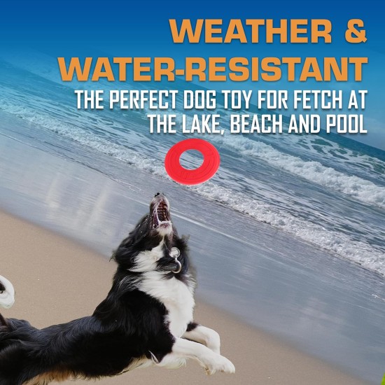 NERF Dog Toy Clear TPR Tyre Flyer 10" Blue for Dogs of All Sizes Weather and Water Resistant Ideal for Training and Mental Stimulation NERF Dog Toy Clear TPR Tyre Flyer 10" Blue for Dogs of All Sizes Weather and Water Resistant Ideal for Training and Mental Stimulation