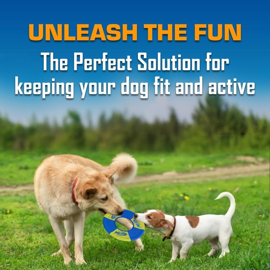 Nerf Dog (2-Pack UltraPlush Trackshot Toss and Tug Ring Dog Toy, Orange/Blue & Green/Blue, Medium Nerf Dog (2-Pack UltraPlush Trackshot Toss and Tug Ring Dog Toy, Orange/Blue & Green/Blue, Medium