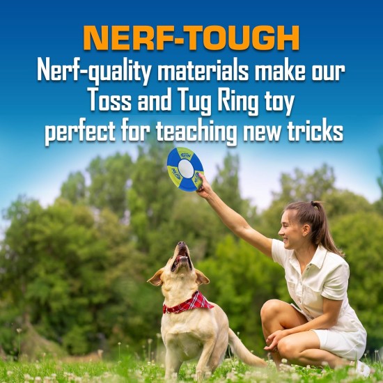 Nerf Dog (2-Pack UltraPlush Trackshot Toss and Tug Ring Dog Toy, Orange/Blue & Green/Blue, Medium Nerf Dog (2-Pack UltraPlush Trackshot Toss and Tug Ring Dog Toy, Orange/Blue & Green/Blue, Medium
