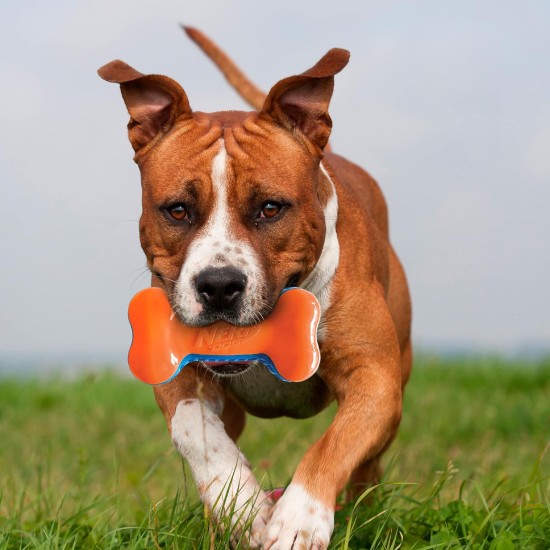 Nerf Dog 7" Squeaky Bone Dog Toy, Blue/Orange Nerf Dog 7" Squeaky Bone Dog Toy, Blue/Orange